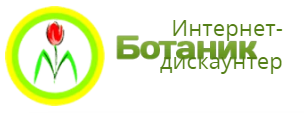 Магазин ботаник стор. Ботаника надпись. Ботаник логотип. Цветочная фирма ботаника. Логотип ботаника Овощевод.